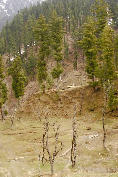 Neelum Valley