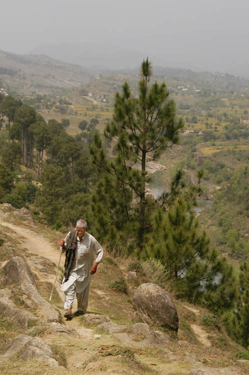 Panjera in Sarsawa valley