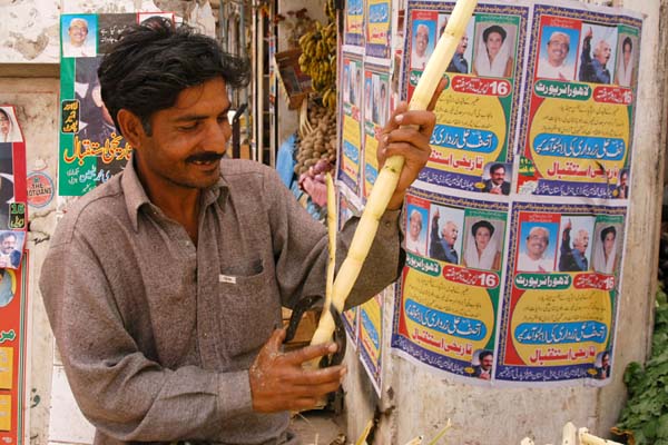 Working with sugar cane in Kotli