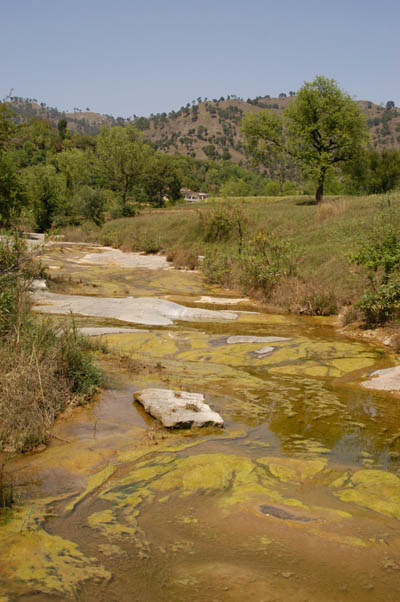 Stream near Nangal