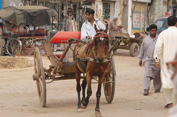 Tonga in Islamgarh (formerly Akalgarh)