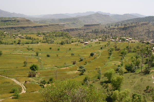 Nangal