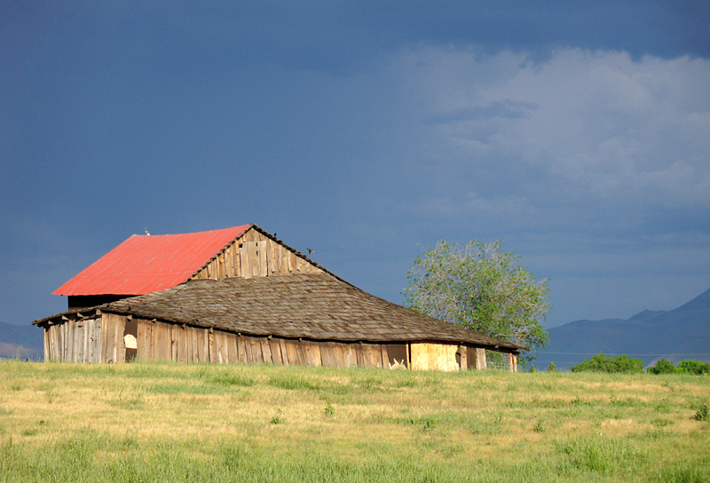 Old Homestead