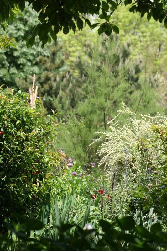 LaGuardia Place Communitiy Garden