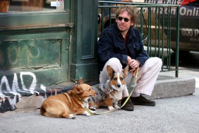 Corgies and Owner on Gay Street and Waverly Place