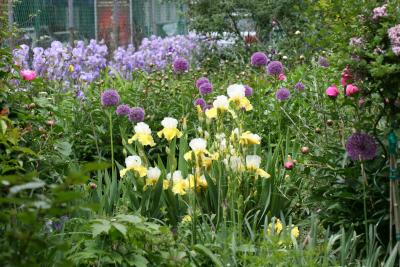 LaGuardia Place Community Garden