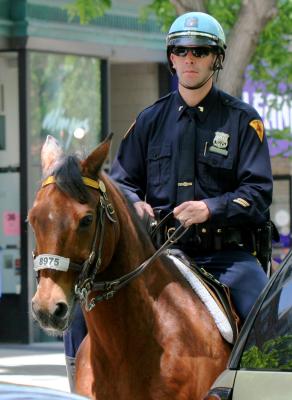 NYPD Mounted Policeman