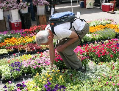 Union Square Flower Market - Spring & Summer