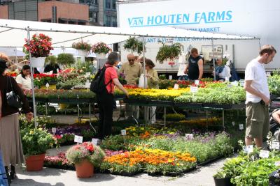 Flower Market at Union Square