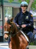 NYPD Mounted Policeman
