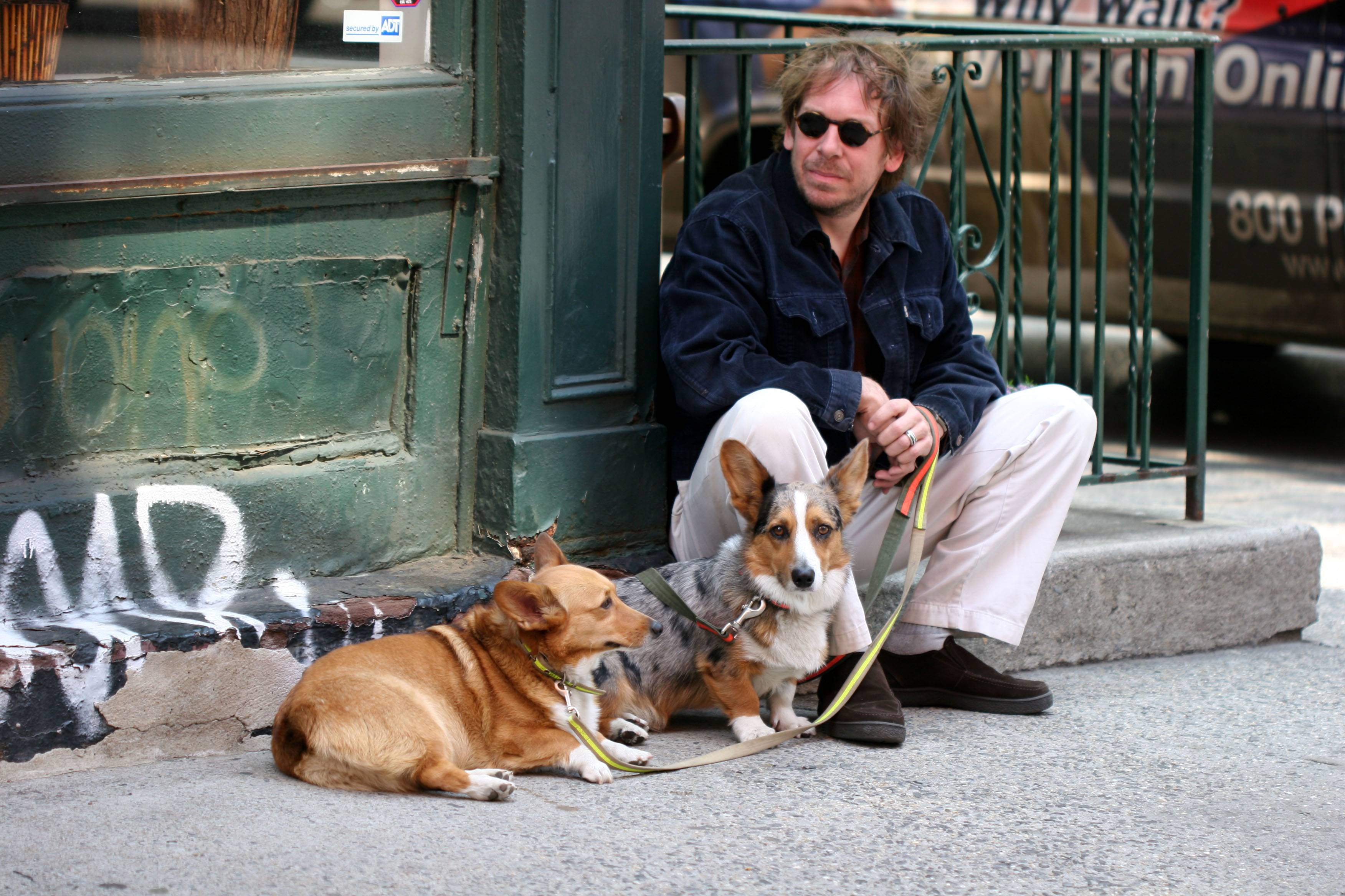 Corgies and Owner on Gay Street and Waverly Place