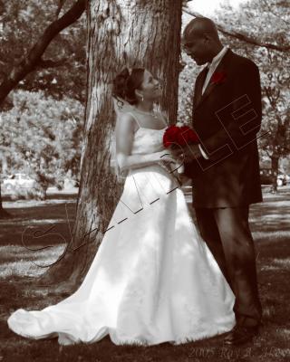 May 21, 2005: Presenting Mr. & Mrs. Nicholas Augustine