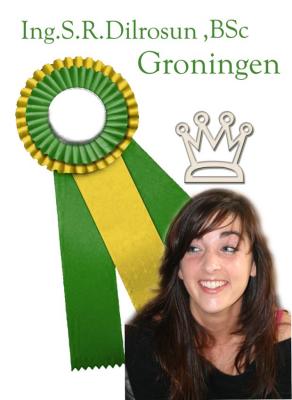 Ingenieur........Papa is trots op je !