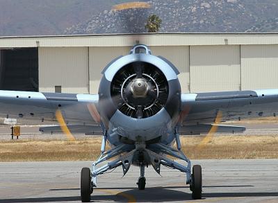 wildcat front.jpg