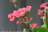 IMG_7499a.jpg