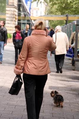 berlin eye for dogs