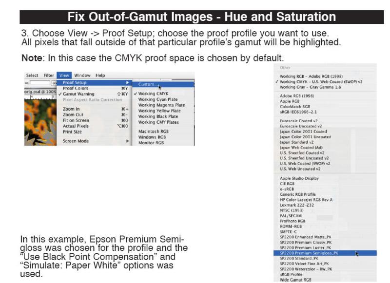 Fixing Out of Gamut Images