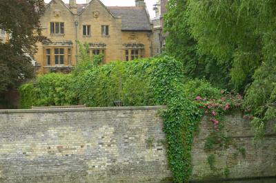 Lush green gardens of colleges in Cambridge