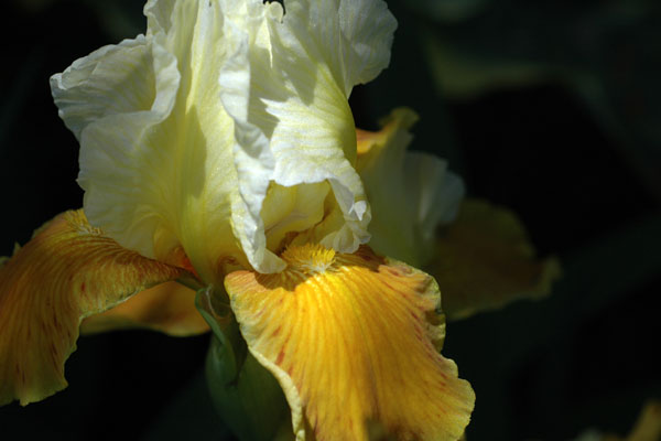 DSC_5800pswebl.jpg