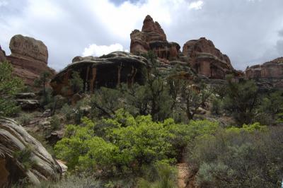4WD2 Canyonlands 2.JPG