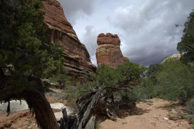 4WD2 Canyonlands 3.JPG