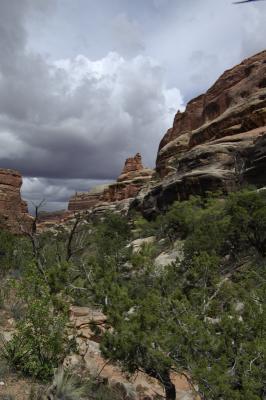 4WD2 Canyonlands 4.JPG