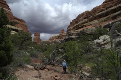 4WD2 Canyonlands 7.JPG