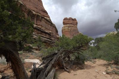 Moab area: Canyonlands N.P., Arches N.P., etc.