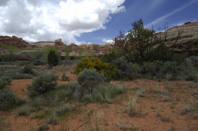 4WD2 Canyonlands 16.JPG