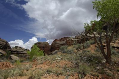 4WD2 Canyonlands 17.JPG