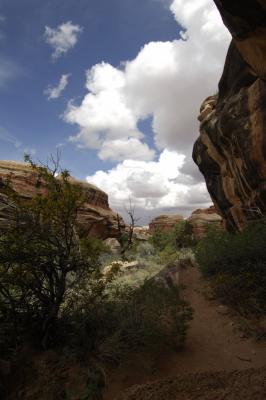 4WD2 Canyonlands 20.JPG