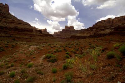4wd3 BLM Land3.JPG