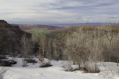 La Sal Mtns1.JPG
