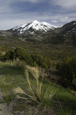 La Sal Mtns2.JPG