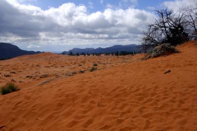 Coral Pink Sand Dunes SP 001.JPG