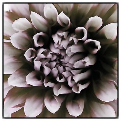 BBG10JUL_1