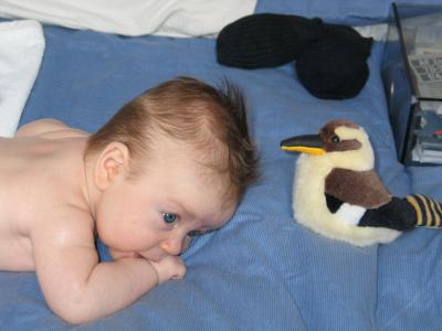 u26/james_darwin/medium/43749076.IMG_4876_5_1.jpg