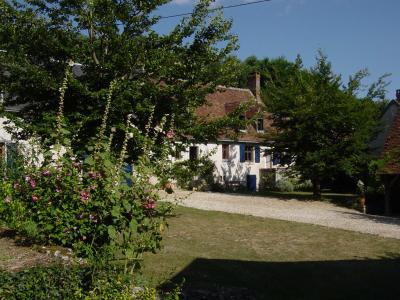 Hollyhocks at Le Village aux Potiers