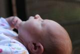IMG_1079.jpg