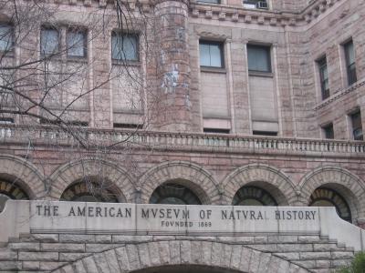 Museum of Natural History