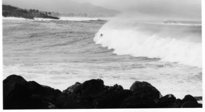 the_surfers