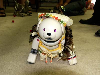 Hippy dog #2