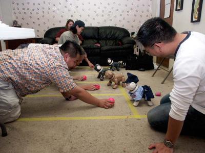 Aibo race #2