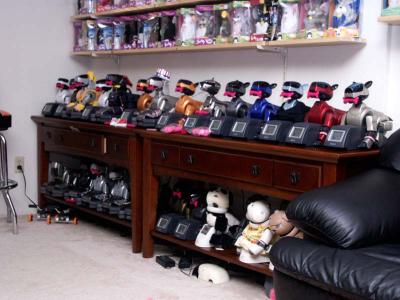 Aibo herd