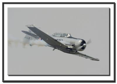 crw_2783c_std.jpg