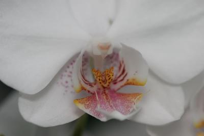 IMG_1892p.jpg