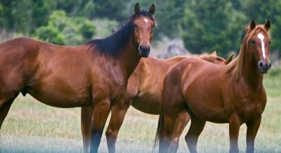 u26/jemski/medium/44039639.IMG_2318.jpg
