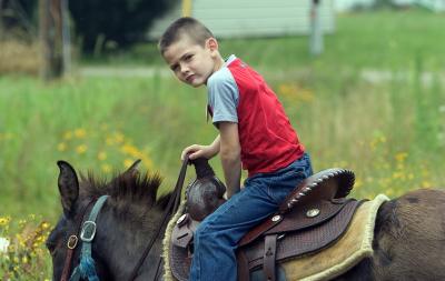 Young Cowboy 