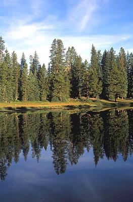 Lake Reflection