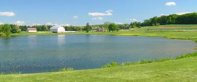 Impounding Dam Farm (Digital Shot)